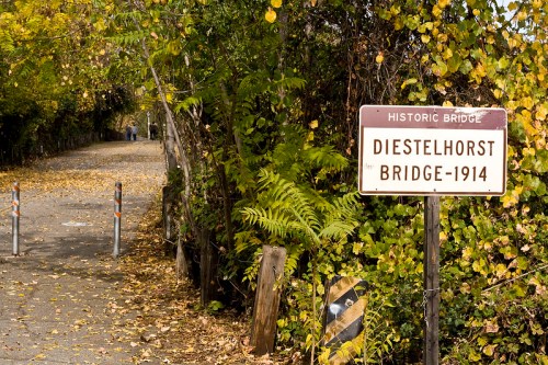 A sign for Diestelhorst Bridge-1914 beside a tree-lined path with autumn leaves.