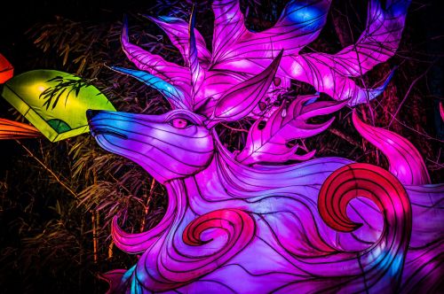 A vibrant, illuminated deer sculpture with colorful swirls and antlers, surrounded by a dark, natural backdrop.