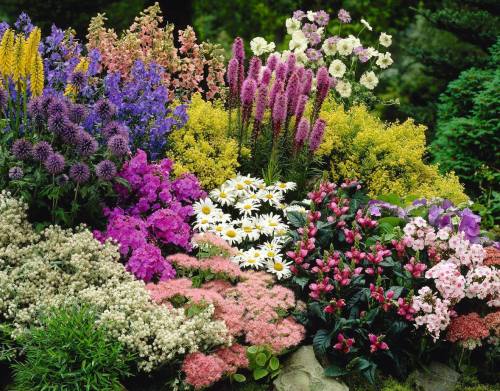 A vibrant display of various colorful flowers, including daisies, begonias, and purple blooms, in a lush garden setting.