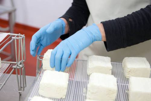 A gloved hand places a block of cheese on a drying rack, surrounded by other cheese blocks.