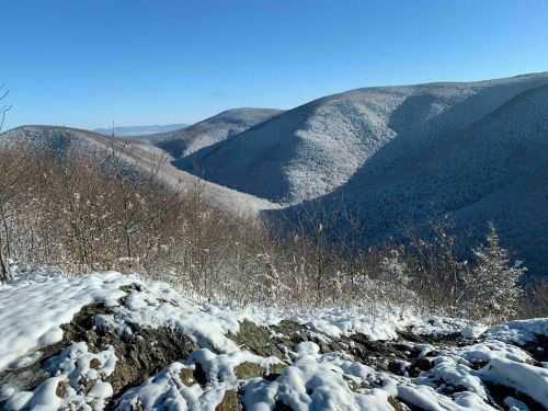 Snow-covered mountains under a clear blue sky, with valleys and trees visible in the foreground.