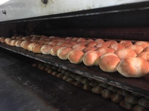 Freshly baked rolls lined up on trays in an industrial oven, golden brown and fluffy.