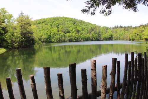 A serene lake surrounded by lush green trees, with a wooden fence in the foreground reflecting the peaceful landscape.
