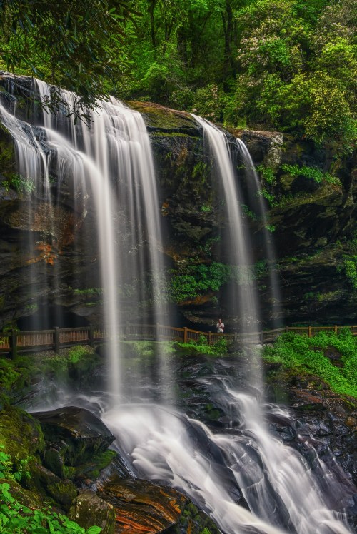 A serene waterfall cascades over rocks, surrounded by lush greenery and a wooden railing in a tranquil forest setting.