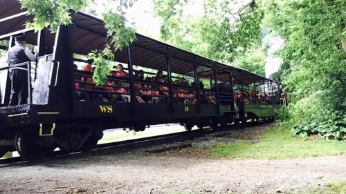 A train car filled with passengers travels along a tree-lined track in a lush green setting.