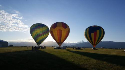 Three colorful hot air balloons on a grassy field with mountains in the background under a clear blue sky.