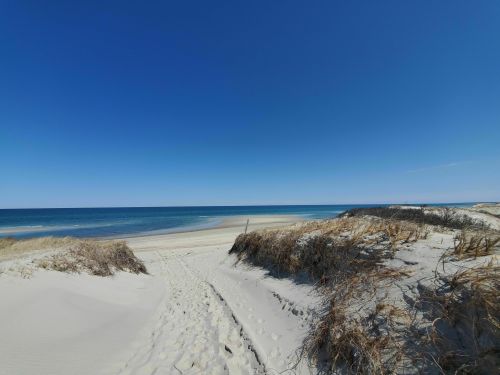 A sandy beach with footprints leading to calm blue waters under a clear blue sky. Dunes frame the scene.