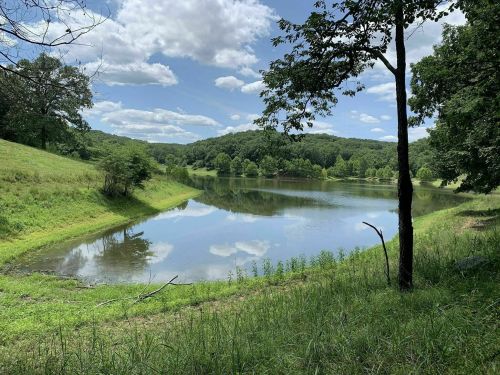 A serene lake surrounded by lush greenery and trees, reflecting a blue sky with fluffy clouds.