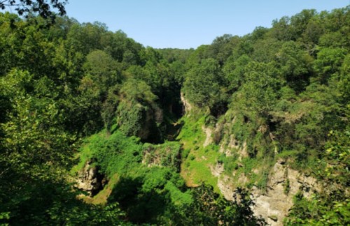 Lush green forest surrounds a deep, narrow canyon under a clear blue sky.