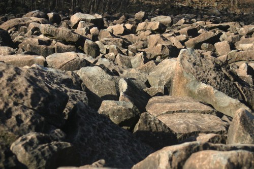 A rocky landscape filled with various sizes of stones and boulders, creating a textured, uneven surface.
