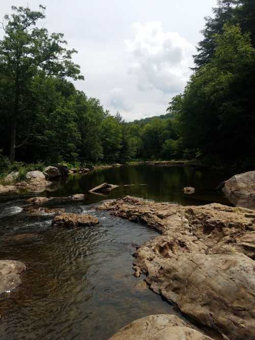 A serene river flows through a lush green forest, with rocky banks and a cloudy sky above.