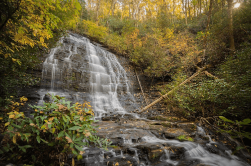 A serene waterfall cascades over rocks, surrounded by vibrant autumn foliage and lush greenery.