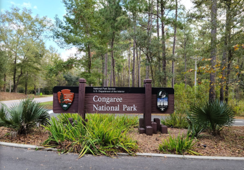 Sign for Congaree National Park, featuring park logos and surrounded by lush greenery and trees.