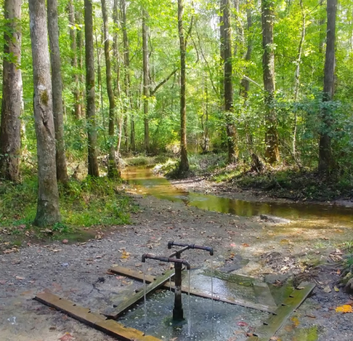 A rustic water pump beside a small stream, surrounded by lush green trees in a serene forest setting.