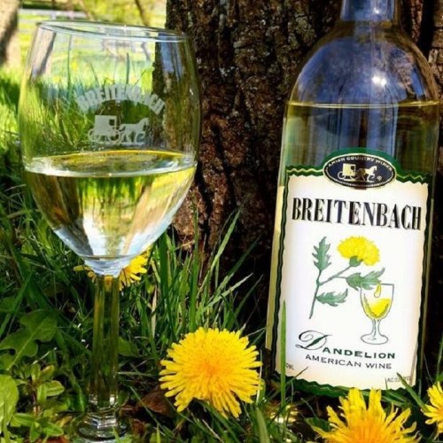 A glass of dandelion wine beside a bottle, set against a grassy background with yellow dandelions and a tree.