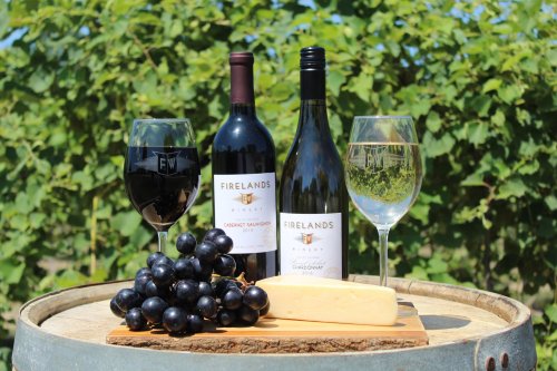 Two bottles of Firelands wine, glasses, grapes, and cheese on a barrel with a vineyard backdrop.
