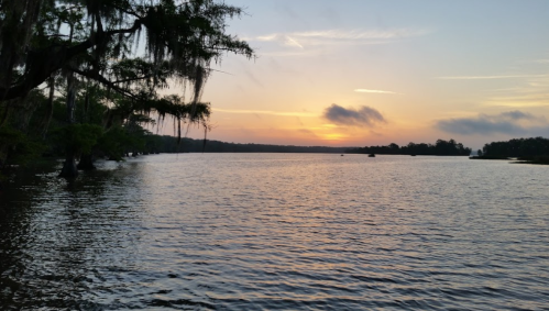 A serene sunset over a calm river, with trees and Spanish moss framing the scene.