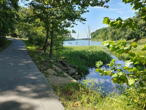 A peaceful pathway alongside a lake, surrounded by lush greenery and trees under a clear blue sky.
