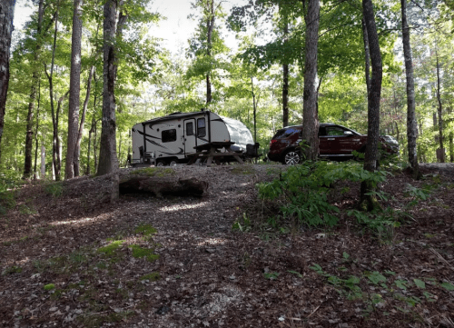 A camper and a car parked in a wooded area, surrounded by green trees and natural scenery.