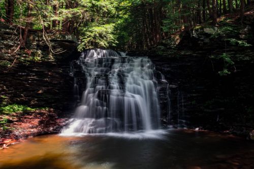A serene waterfall cascades over dark rocks into a tranquil pool, surrounded by lush green trees and foliage.