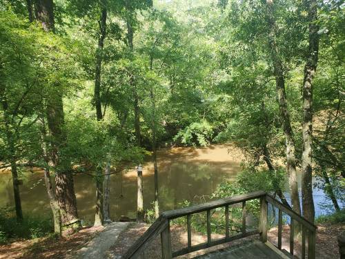 A serene view of a river surrounded by lush green trees, with a wooden deck in the foreground.