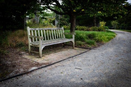 A weathered wooden bench sits beside a gravel path, surrounded by grass and trees in a serene outdoor setting.