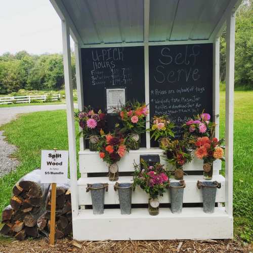 A self-serve flower stand with colorful bouquets, a chalkboard menu, and a sign for split wood for sale.