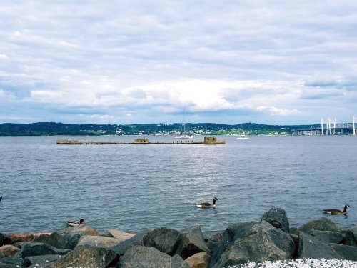 A calm river scene with rocks in the foreground, a small island in the water, and cloudy skies above.