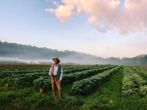 A farmer stands in a misty field of crops, with green rows and a colorful sky in the background.