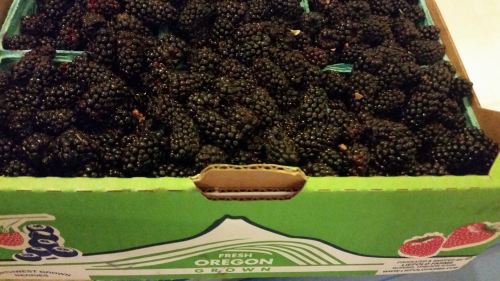 A box filled with fresh blackberries, labeled "Fresh Oregon Grown."