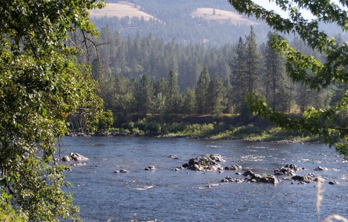 A serene river flows through a forested landscape, with rocky outcrops and distant hills under a clear sky.