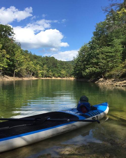 A paddleboard rests on calm water surrounded by lush green trees and a clear blue sky.