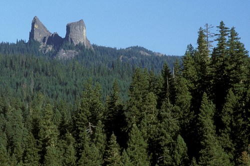 Two prominent rock formations rise above a dense forest of evergreen trees under a clear blue sky.