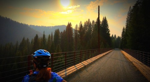 A cyclist on a gravel path surrounded by tall trees, with a sunset casting a warm glow over the landscape.
