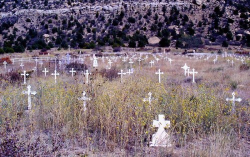 A field of white crosses marking graves, surrounded by tall grass and sparse vegetation, against a rocky hillside.
