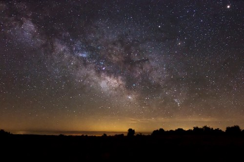 A stunning night sky filled with stars and the Milky Way, with a faint glow on the horizon and silhouettes of trees.