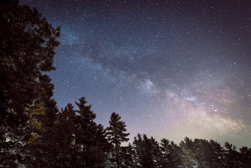 A starry night sky with the Milky Way visible above a silhouette of tall trees.