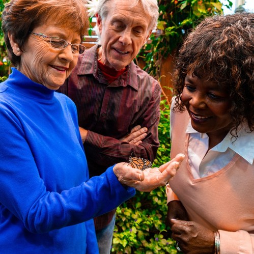 Three people admire a butterfly resting on a woman's hand, surrounded by lush greenery.