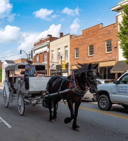 A horse-drawn carriage with a driver passes through a quaint town street lined with shops and blue skies above.