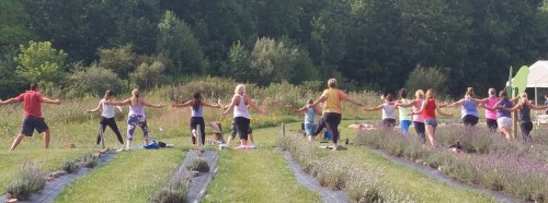 A group of people practicing yoga outdoors in a field, surrounded by greenery and rows of plants.