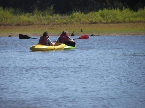Two people in kayaks paddle across a calm body of water, surrounded by greenery and a sandy shore.