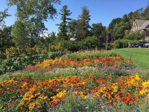 A vibrant garden filled with colorful flowers, set against a backdrop of trees and a house under a clear blue sky.