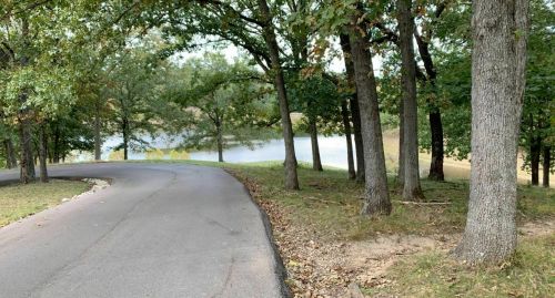 A winding road lined with trees leads to a serene pond in a peaceful natural setting.
