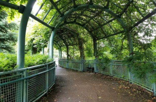 A lush, green walkway with an arched trellis covered in foliage, surrounded by trees and plants.