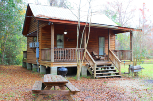 A rustic wooden cabin with a porch, surrounded by trees and fallen leaves, featuring picnic tables and a grill.