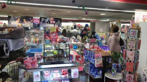 A pet store interior with colorful displays, pet supplies, and a customer interacting with staff. Cats are visible in cages.