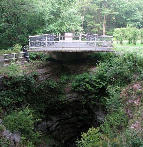 A viewing platform overlooks a deep, rocky sinkhole surrounded by lush greenery and trees.