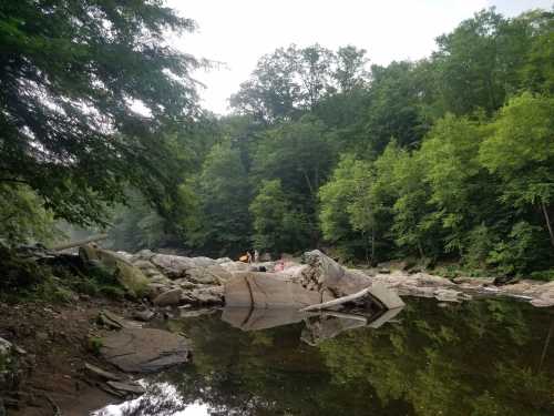 A serene river scene with rocky banks, surrounded by lush green trees and people enjoying the water in the distance.