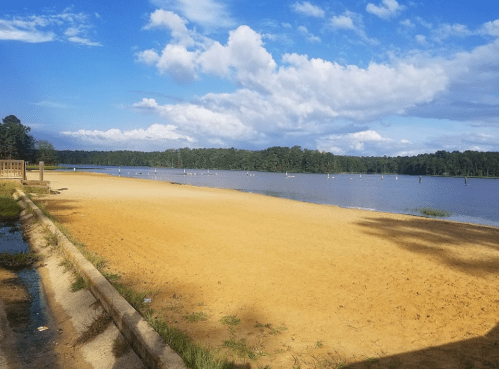 A sandy beach by a calm lake, with blue skies and fluffy clouds in the background. Trees line the shore.