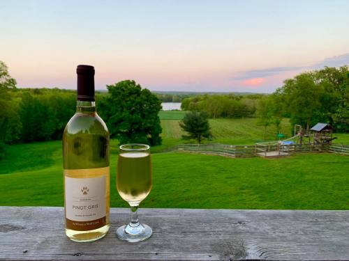 A bottle and glass of Pinot Gris on a wooden table, overlooking a lush green vineyard and serene landscape at sunset.